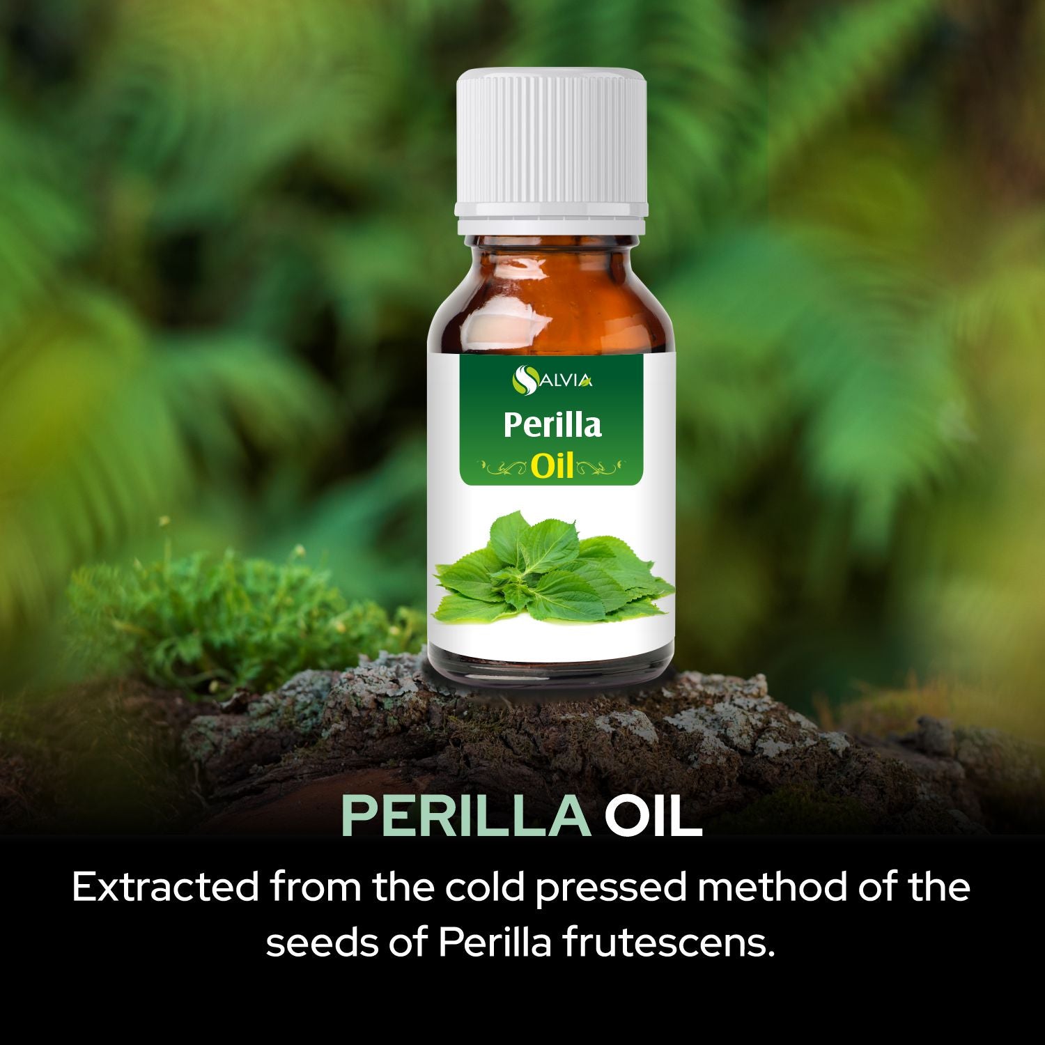 Salvia Natural Essential Oils,Dandruff,Greasy Oil,Anti Fungal,Anti-fungal Oil,Oil for Greasy Hair Perilla Oil Salvia Natural Essential Oils,Dandruff,Greasy Oil,Anti Fungal,Anti-fungal Oil,Oil for Greasy Hair Perilla Oil